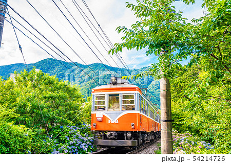 箱根登山鉄道とあじさいの風景 箱根登山鉄道とあじさいの風景 54214726