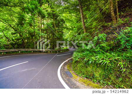 箱根の峠道 箱根の峠道 54214962