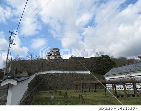 大洲城 大洲城 54215307