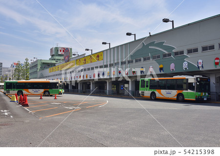 大井競馬場の正門側入り口 大井競馬場の正門側入り口 54215398