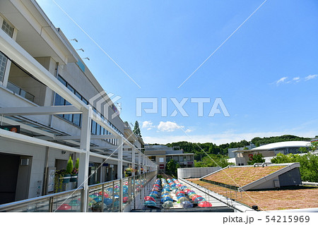 梅雨の晴れ間 梅雨の晴れ間 54215969