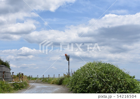 初夏の茅ヶ崎海岸 初夏の茅ヶ崎海岸 54216504