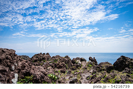 伊東・城ヶ崎海岸から相模湾を望む 伊東・城ヶ崎海岸から相模湾を望む 54216739