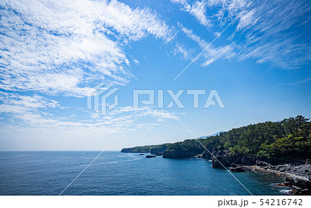 伊東・城ヶ崎海岸から相模湾を望む 54216742