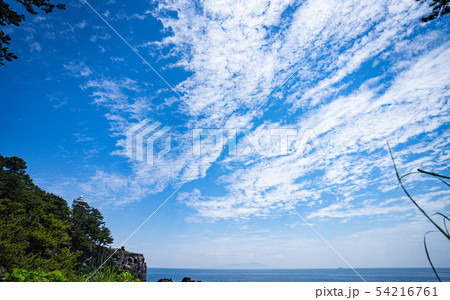 伊東・城ヶ崎海岸から相模湾を望む 54216761