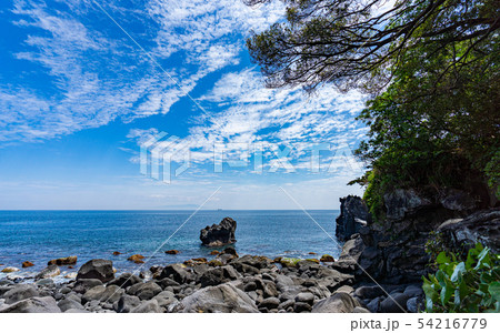 伊東・城ヶ崎海岸から相模湾を望む 54216779