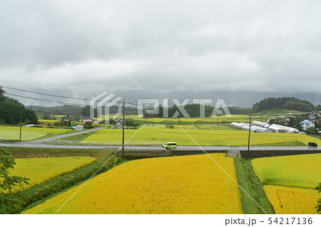 中央本線の沿線風景 中央本線の沿線風景 54217136