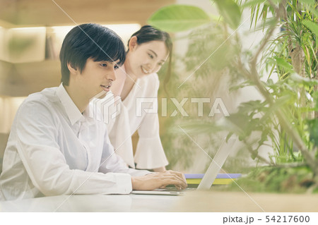 ビジネス　男女　打ち合わせ 54217600