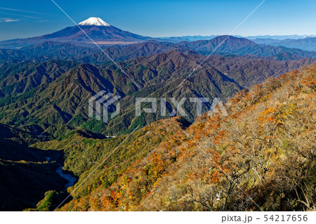 丹沢・檜洞丸稜線から見る富士山と紅葉の山並み 丹沢・檜洞丸稜線から見る富士山と紅葉の山並み 54217656