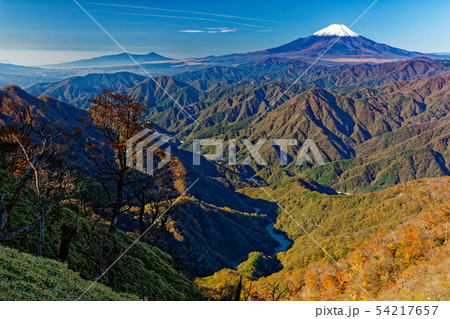 丹沢・檜洞丸稜線から見る富士山と紅葉の山並み 丹沢・檜洞丸稜線から見る富士山と紅葉の山並み 54217657