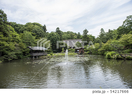 夏の東山動植物園 夏の東山動植物園 54217666