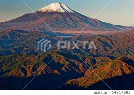 丹沢・檜洞丸稜線から見る朝の富士山と紅葉の山並み 丹沢・檜洞丸稜線から見る朝の富士山と紅葉の山並み 54217695