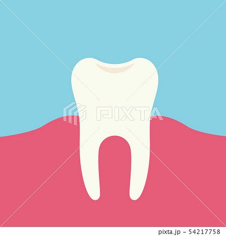 Flat design illustration of tooth and pink gums, 54217758