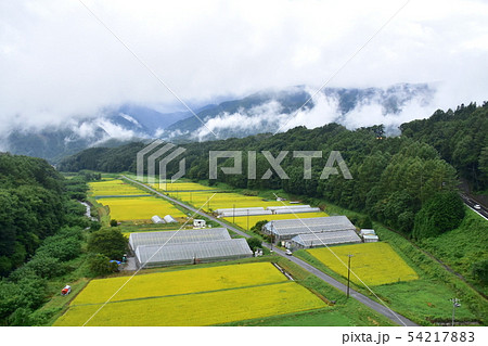 中央本線の沿線風景 中央本線の沿線風景 54217883