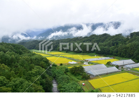 中央本線の沿線風景 54217885
