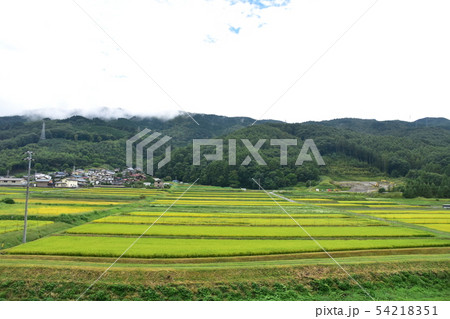 中央本線の沿線風景 54218351