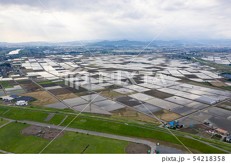 梅雨空の水田風景 栃木県佐野市の写真素材