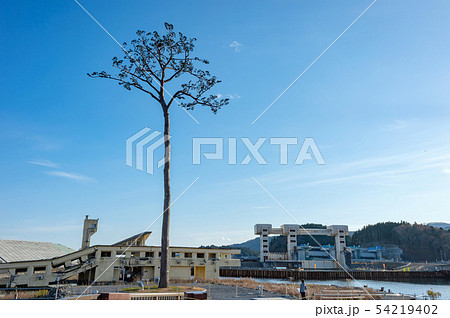 岩手県陸前高田 高田松原跡地の風景と未来への希望の写真素材