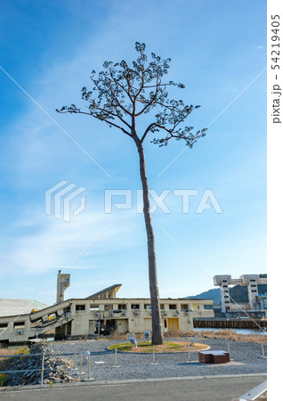 【岩手県陸前高田】高田松原跡地の風景と未来への希望 54219405