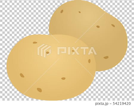 じゃがいも 54219420