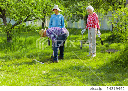 Neighbors owning summer houses taking care of garden together 54219462