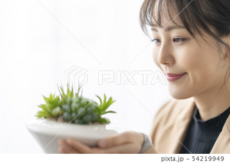 多肉植物ハオルチアオブツーサの葉の透明感が美しい窓と呼ばれる先端部分を眺める笑顔が癒される女性 54219949