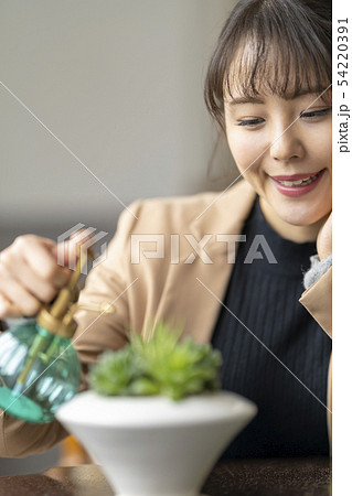 多肉植物ハオルチアオブツーサの美しい透明感の窓を楽しむ為霧吹きで水を与える自然を大切にする優しい女性 54220391