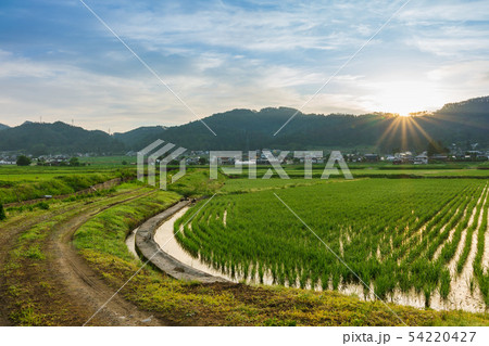 安曇野：日の出　　　　北安曇郡池田町 54220427