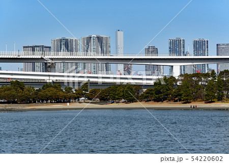 街景色　お台場 54220602