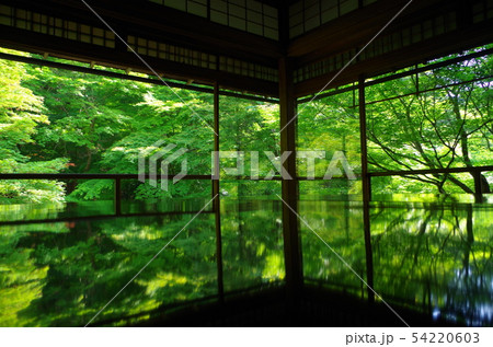 瑠璃光院の鏡面机と新緑 54220603