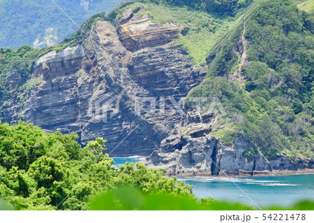 南伊豆　龍崎の蛇下り 54221478