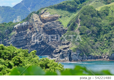 南伊豆　龍崎の蛇下り 54221480