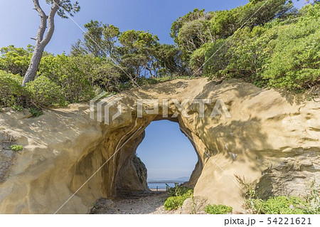 洞山 (遠賀郡芦屋町) 54221621