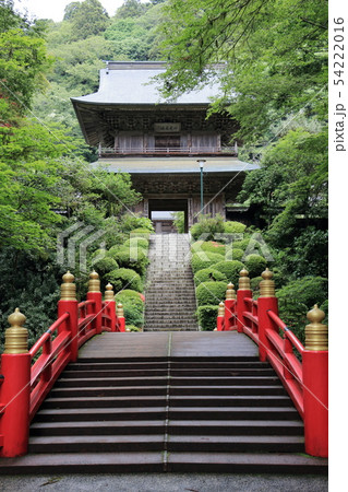 雲巌寺　瓜瓞橋 　（６月） 54222016