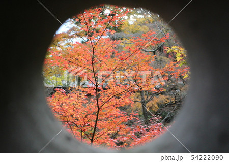 大窪寺境内の紅葉窓 54222090