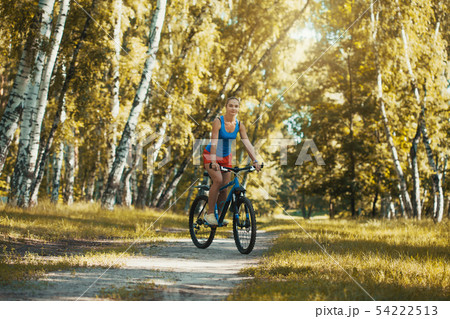 cyclist cycling mountain bike on birch forest trail 54222513