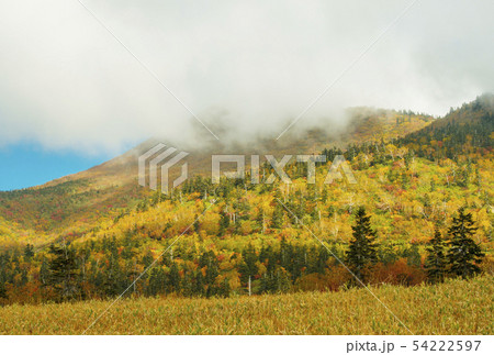 弥陀ヶ原の紅葉　秋の富山観光スポット　中部山岳国立公園　 54222597