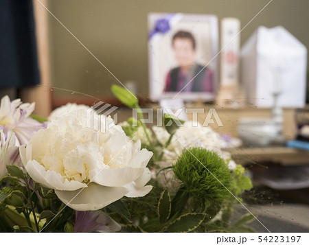 後飾り祭壇 後飾り祭壇 54223197