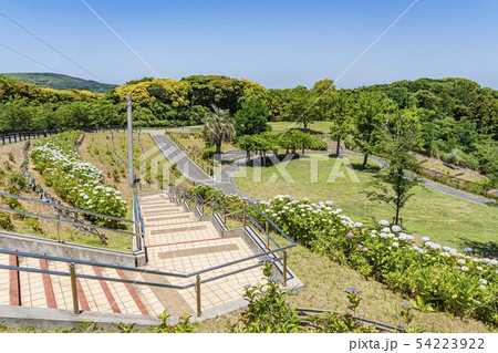 高塔山公園とアジサイ 北九州市若松区 の写真素材