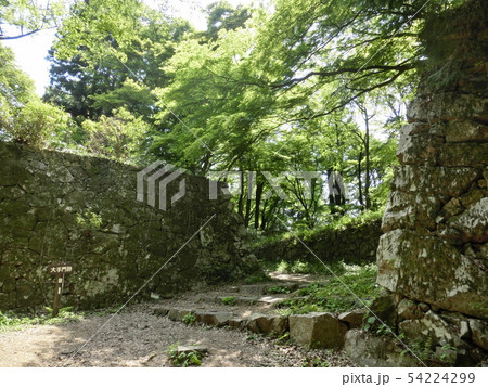 高取城 54224299