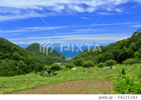 松崎町　田植え後の石部の棚田 54225103