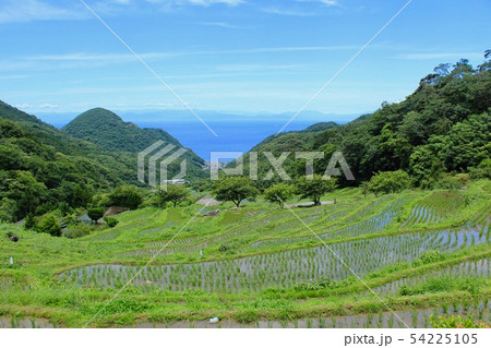 松崎町　田植え後の石部の棚田 54225105