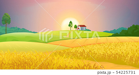 Wheat fields. Village farm landscape with green hills and sunset. Vector rural agricultural 54225731