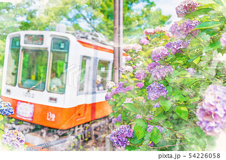 水彩画風] 箱根登山鉄道とあじさいの風景のイラスト素材