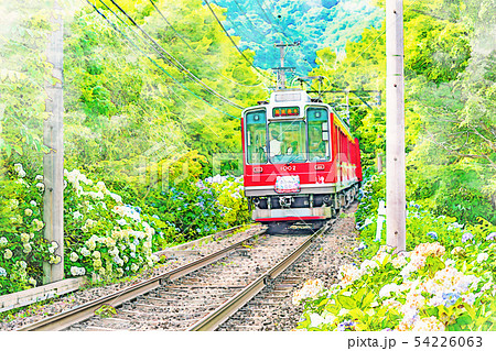水彩画風] 箱根登山鉄道とあじさいの風景のイラスト素材