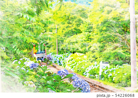 水彩画風] 箱根登山鉄道とあじさいの風景のイラスト素材