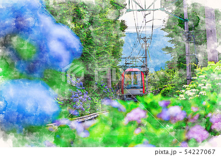 風景画　箱根登山鉄道　水彩画 紫陽花　　SHO 水彩画風] 箱根登山鉄道とあじさいの風景のイラスト素材