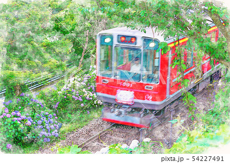 風景画　箱根登山鉄道　水彩画 紫陽花　　SHO 水彩画風] 箱根登山鉄道とあじさいの風景のイラスト素材
