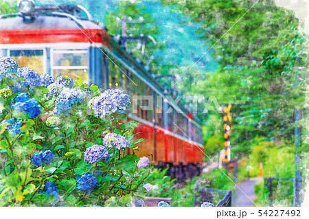 高評価のクリスマスプレゼント 水彩画風] 箱根登山鉄道とあじさいの風景のイラスト素材 イラスト