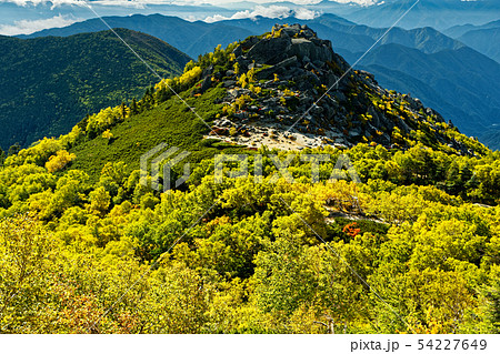 鳳凰三山・薬師岳のダケカンバの黄葉と砂払岳 54227649